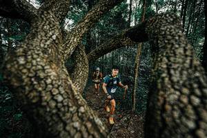 BIB: 
                            <button type="button" onclick="openModal(25392949)" class="btn btn-primary btn-sm float-right btn-popup" data-toggle="modal" data-target=".modal-high-quality">
                        <i class="fas fa-shopping-cart"></i> Add to Cart
                    </button>
                                            <button type="button" onclick="isThisMe(25392949, true)" class="btn btn-success btn-sm float-right btn-popup btn-isme hidden" data-toggle="tooltip" data-placement="bottom" title="นี่คือรูปของคุณใช่ไหม คลิกที่นี่เพื่อเอาเข้าอัลบั้ม">
                        <i class="fas fa-plus"></i> Add to album
                    </button>
                    <button type="button" onclick="isThisMe(25392949, false)" class="btn btn-warning btn-sm float-right btn-popup btn-isnotme hidden">
                        <i class="fas fa-ban"></i> Remove from album
                    </button>